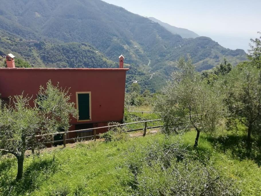 Quiet And Cozy Home With Wi-Fi Casa Prearino Vernazza Extérieur photo