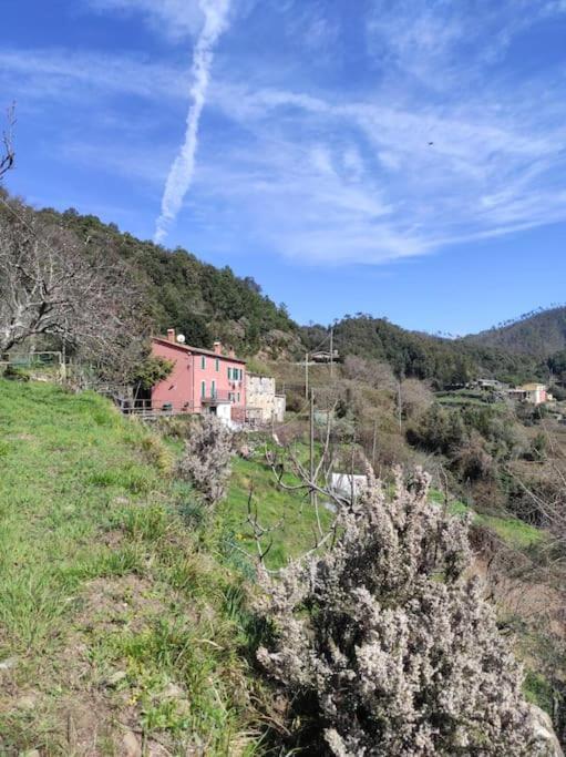 Quiet And Cozy Home With Wi-Fi Casa Prearino Vernazza Extérieur photo