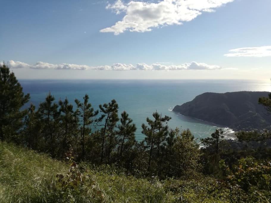 Quiet And Cozy Home With Wi-Fi Casa Prearino Vernazza Extérieur photo